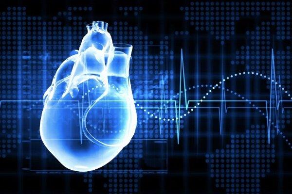 قلب روباتیک در بدن انسان  آزمایش می شود