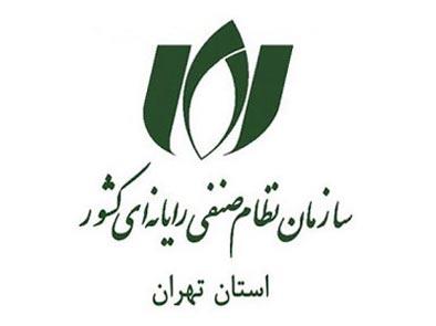 نمایندگان هیات نظارت  بر انتخابات نصر تهران تعیین شدند